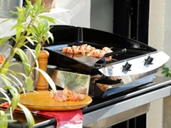 Plancha & bbq barbecue